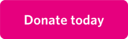 Pink Donate Today Button