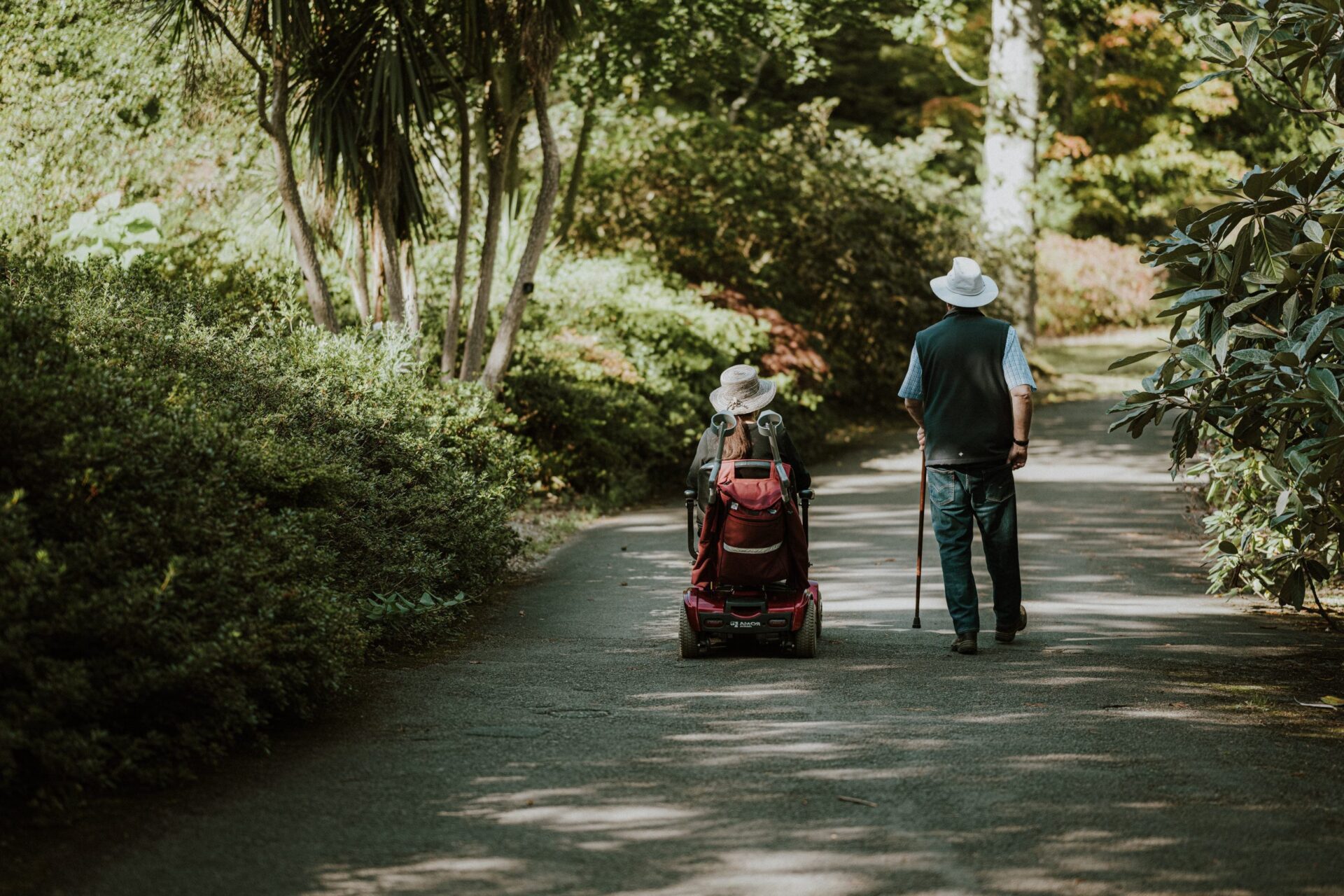 Man walking with woman in wheelchair along wooded lane