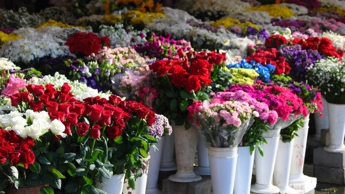 Image shows a flower market filled with hundreds of bouquets of variety of flowers. Bunches of red roses and white and pink daisies can be seen in the first row.