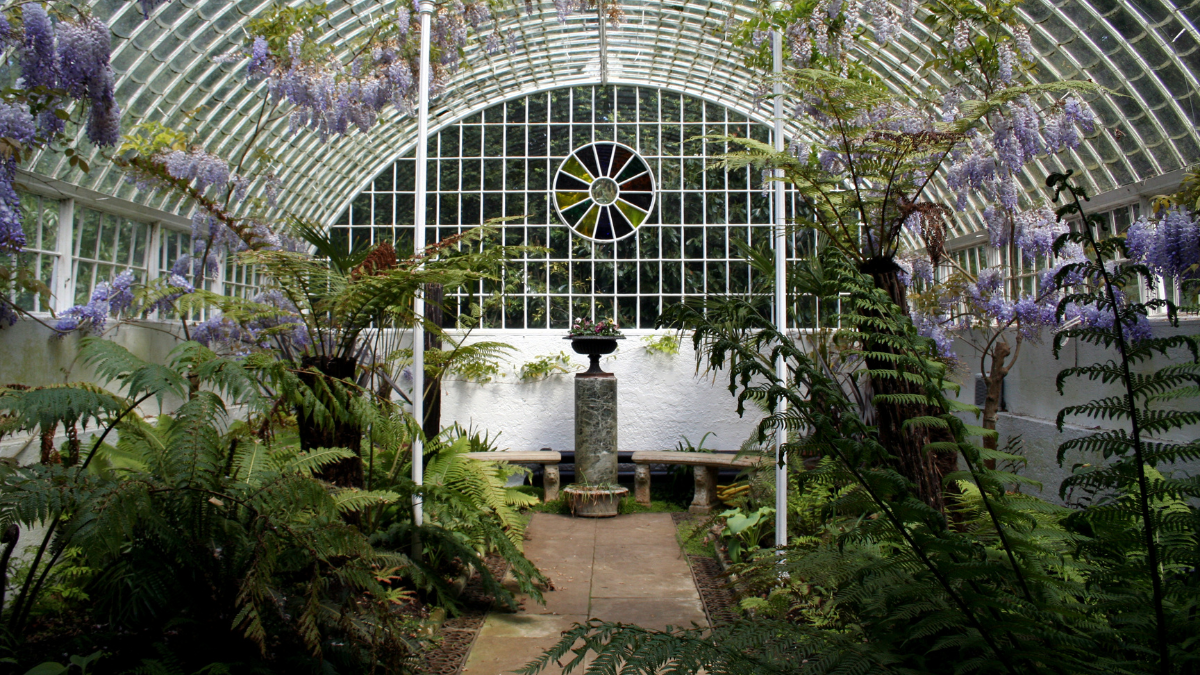 Image of a conservatory with lush green plants on both sides of an old fountain.